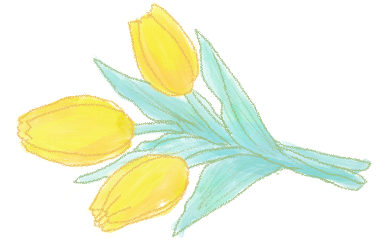 花束: チューリップ4種